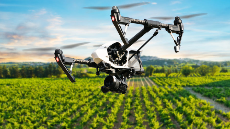 Top 5 Tech Innovations in Agriculture